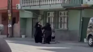 665994a1e473eed53369f67b