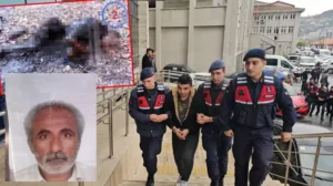 afgan multeci yandigi haber