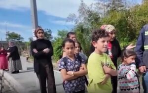 basibos sokak kopekleri