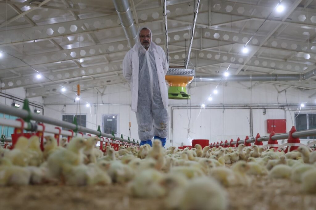 basin birakti ciftlik kurdu