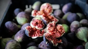 bursa siyah incir japonya tokyoya i mnci cover.jpg