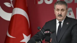 destici okkn cover.jpg