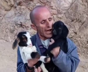 hayvan sevgisi fenomen