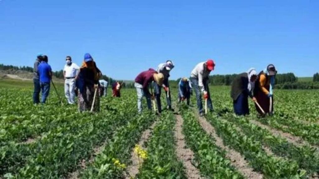 i id0e72773295747411c38538e704275c362e554460 4079