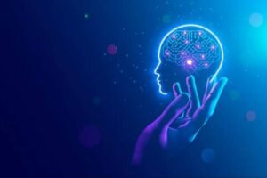 i idcdaafa0b1d31df37f604f7254945b1dd 5334917 imag