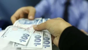 kapak 48 ny3p cover.jpg