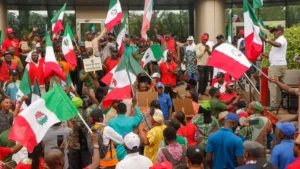 nijer son ecvl cover.png