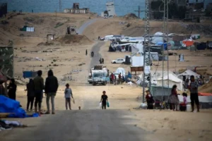 qj44KG0DxE2596AtJouBCg