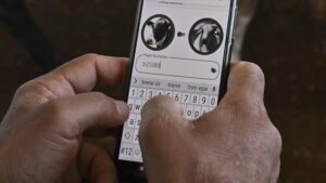 tarim bakanligi kurban app