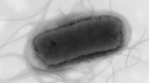 6661c47f7731e5397b5f2fbf