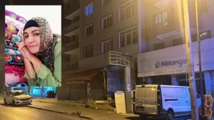 666297aa772bf8fed1642804