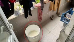 6665a7cb8b324caccbc147a8