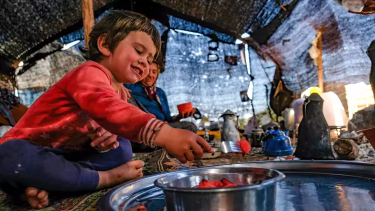 66695c4b7731e5397b5f3b2d