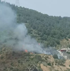 666972d4772bf8fed1643269