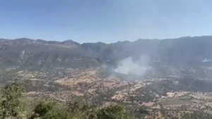 667d8e43d624894c7544bdd4