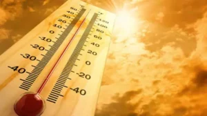 667e5c71a07c05b0cb9ed8c3