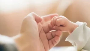 anne bebek b6x5 cover.jpg