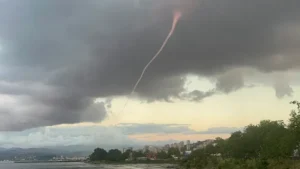 orduda dev hortum odzo cover.jpg