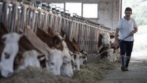 thumbs b c 11a2cda9b8b685853dc047ce00a153ff