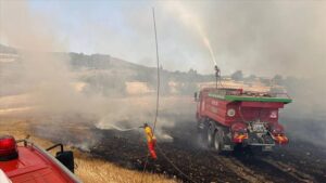 thumbs b c 190fe9156b95ee437584397b92965e7f