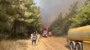 66815c7da24f5ddddef8065c