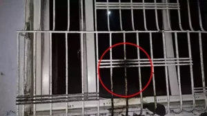 66823cddd624894c7544ca79