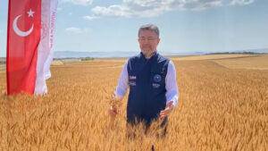 668d07bea97195e87dbba5ae