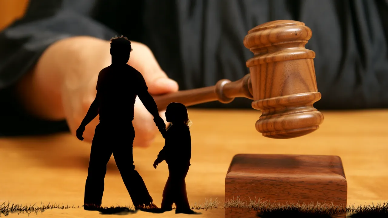 9 yargi paketi gorusulecek anne ve cocuk soybagi icin dava acmak zorunda prgn cover.png