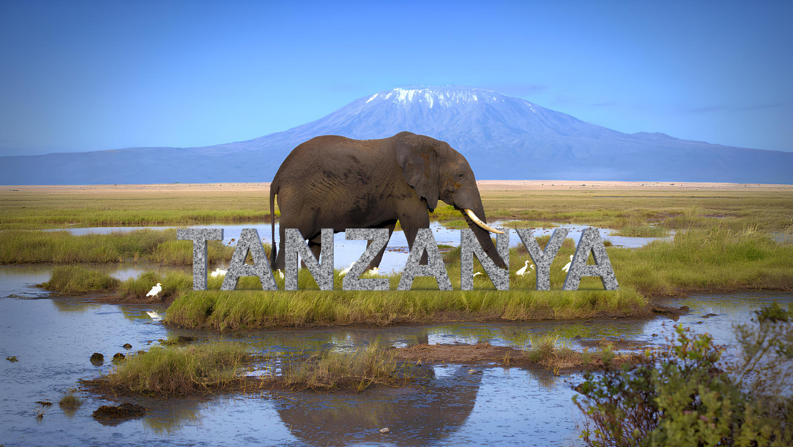 Afrikanin Incisi Tanzanya scaled