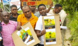 Bakan Yumakli yerli bugday tohumlarinin hasadina katildi