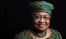 DTO baskani dunya ricaret cokusune karsi uyardi