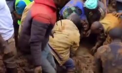 Ekran goruntusu 25 7 2024 115241 www.africanews.com