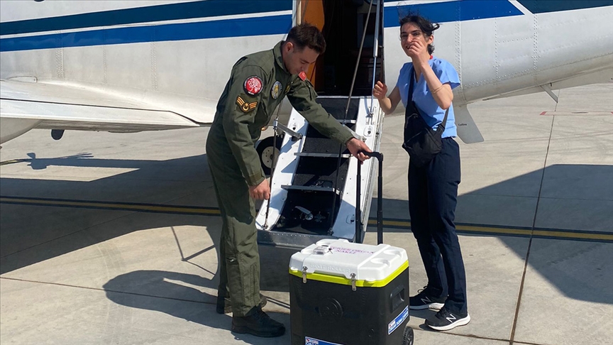 F93C0AEB 8D17 46F8 BD89 C74CB91BF7D2