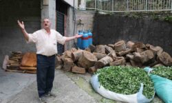 Rize de anlasmazlik