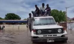 Sudan sel