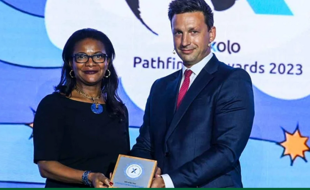 afrika kalkinma bankasi odulu