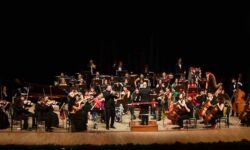 anadolu universitesi