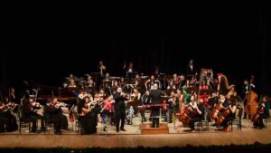 anadolu universitesi