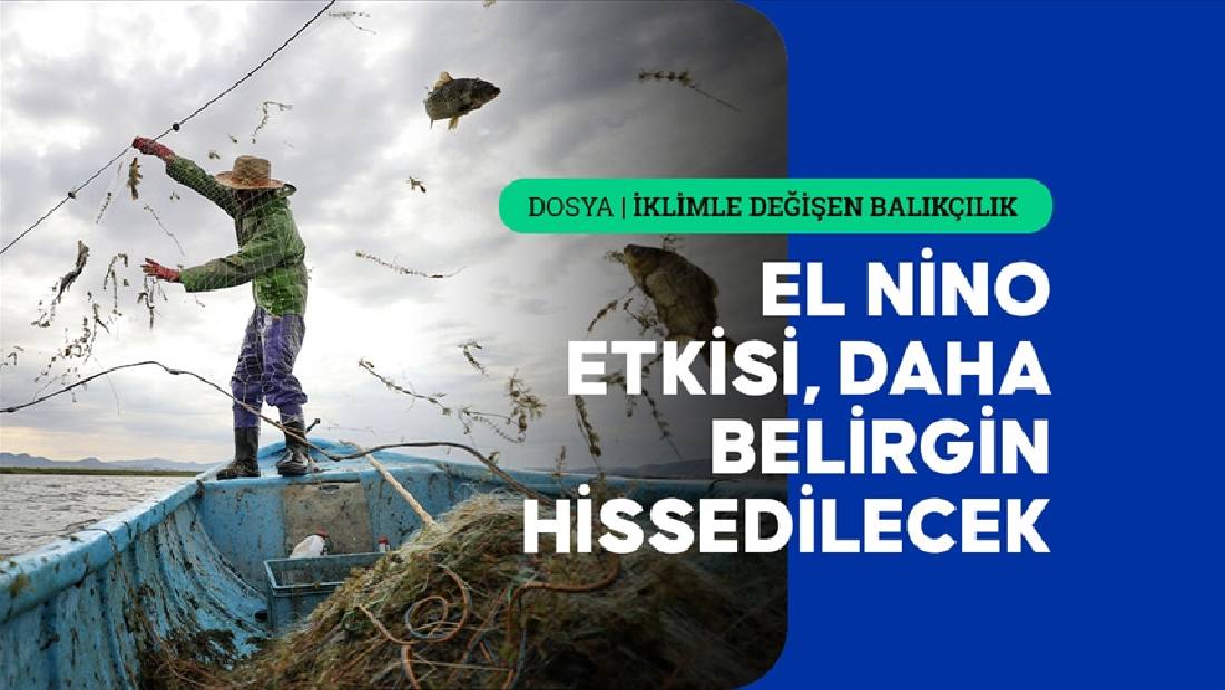 artan avlanma sureleri