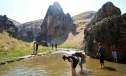 babamin damadi filmi