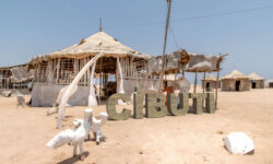 cibuti 1
