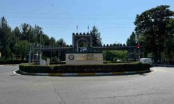 dicle uni