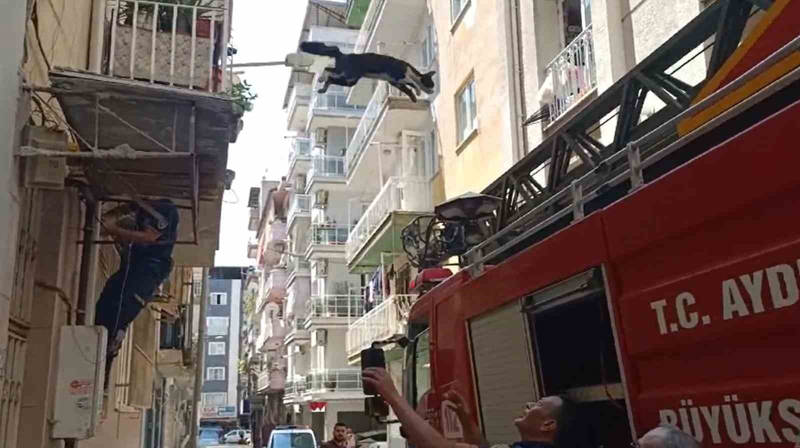 kedi kurtaran itfaiye