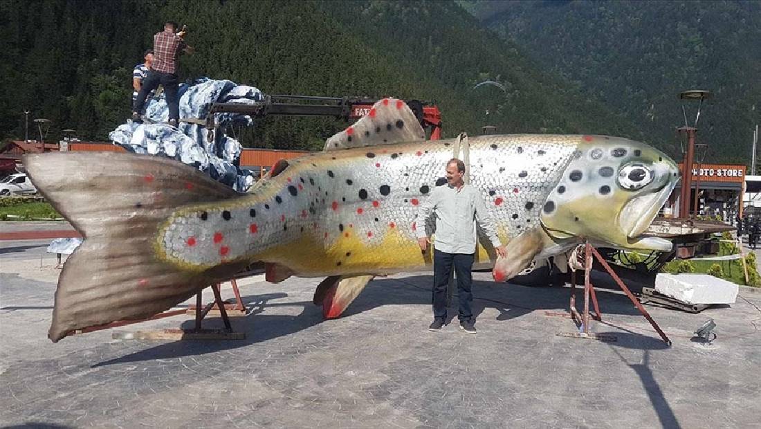 kirmizi benekli alabalik