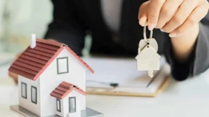 konut iq3g cover.jpg