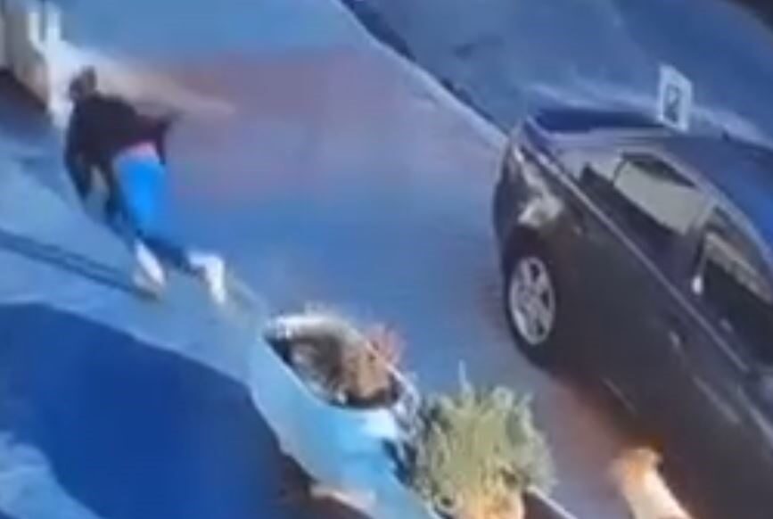 kopek saldirisi 1 e1722259144109