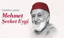 mehmet sevki eygi