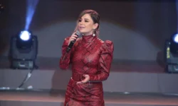 merve ozbey konseri iptal etti