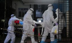 nipah virusu reu 2259028 1