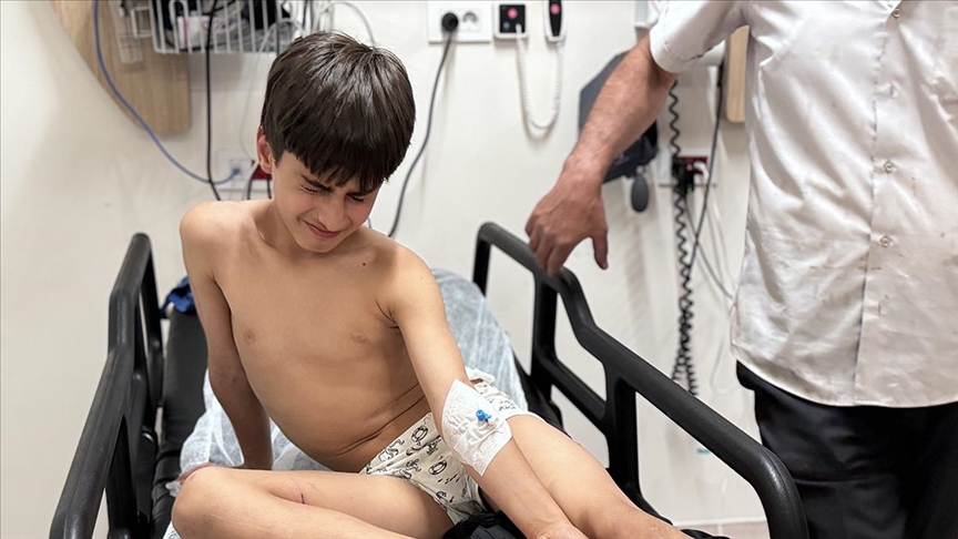 sahipli kopek saldirisi